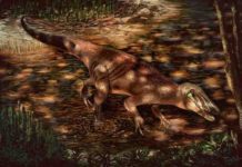 New Patagonian predator sheds light on mysterious meat-eating dinosaur group Dinosaur