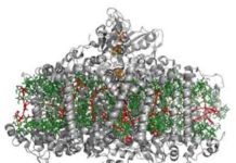 Photosynthesis originated a billion years earlier than we thought, study shows