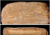 Pterosaurs went out with a bang, not a whimper Some of the Moroccan pterosaur fossils from the study.