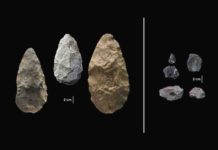 The first evidence of human life in the Olorgesailie Basin comes from about 1.2 million years ago. For hundreds of the thousands of years, people living there made and used large stone-cutting tools called handaxes (left).