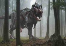 The curse of zombie fossils Undead T. rex.