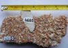 Two-billion-year-old salt rock reveals rise of oxygen in ancient atmosphere A sample of 2-billion-year-old salt (pink-white recrystallized halite) with embedded fragments of calcium sulfate from a geological drill core in Russian Karelia.
