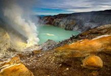 Ammonium fertilized early life on Earth