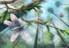 Fossil study sheds light on ancient butterfly wing colors Ecological restoration of moths in the Cretaceous Burmese amber forest.