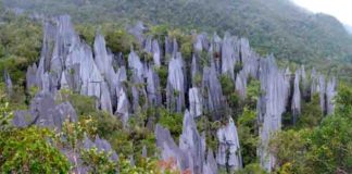 The Pinnacles of Gunung Mulu in Borneo
