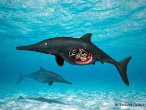 Ichthyosaur