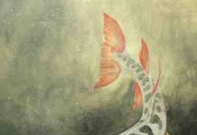 25 years of fossil collecting yields clearest picture of extinct 12-foot aquatic predator Hyneria lindae