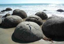 Cracking open the formation of fossil concretions Gigantic concretions formed in mudstone on New Zealand's Moeraki coast; about 50 million years old. The present research shows that even concretions of this size formed very rapidly, within several decades.