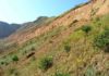 Establishing a time scale for 10 million years ago