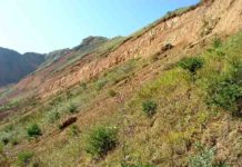Establishing a time scale for 10 million years ago