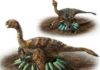 How does a one-tonne dino hatch its eggs? Oviraptorosaurs