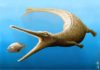 Jurassic fossil tail tells of missing link in crocodile family tree Magyarosuchus fitosi