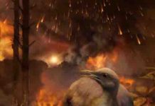 When the dinosaurs died, so did forests — and tree-dwelling birds The asteroid impact that eliminated non-avian dinosaurs destroyed global forests.