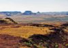 Why parts of Earth have barely changed in 3 billion years Millstream National Park, Pilbara, Western Australia.