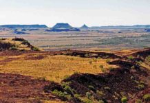 Why parts of Earth have barely changed in 3 billion years Millstream National Park, Pilbara, Western Australia.