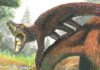In the gaping mouth of ancient crocodiles Shartegosuchus