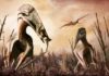 Jurassic diet: Why our knowledge of what ancient pterosaurs ate might be wrong giant azhdarchid pterosaur Hatzegopteryx