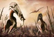 Jurassic diet: Why our knowledge of what ancient pterosaurs ate might be wrong giant azhdarchid pterosaur Hatzegopteryx