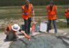 New way to estimate magma beneath Yellowstone supervolcano Yellowstone hot spring