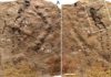 Researchers report the earliest fossil footprints Ediacaran Dengying Formation