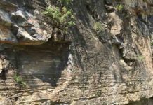 Ediacaran carbonate rocks in Three Gorges area, Hubei Province