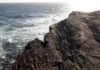 Why life on Earth first got big These are Ediacaran fossils at Mistaken Point, Newfoundland.