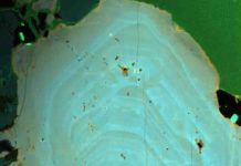 Yosemite granite ‘tells a different story’ story about Earth’s geologic history Quartz analysis