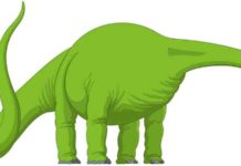 Growing a dinosaur’s dinner Dinosaur