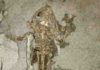 New sources of melanin pigment shake up ideas about fossil animals’ colour 10 million-year-old frog from Libros, Spain