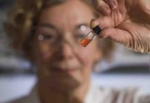 Scientists discover the world’s oldest colors Vial of pink colored porphyrins representing the oldest intact pigments in the world.