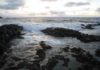 World’s first animals likely caused global warming Ocean