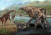 First North American co-occurrence of Hadrosaur and Therizinosaur tracks found in Alaska therizinosaurs and hadrosaurs at Alaska's Denali National Park during the Cretaceous Period.