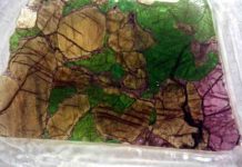 Geologists uncover new clues about largest mass extinction ever sample of mantle xenolith, rock sections of the lithosphere that get captured by the passing magma and erupted to the surface during the volcanic explosion.