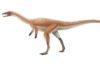 How did alvarezsaurian dinosaurs evolve monodactyl hand? Bannykus resoration