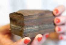 Laughing Gas May Have Helped Warm Early Earth and Given Breath to Life Ancient tiger eye BIF (banded iron formation)