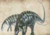 New dinosaur found in the wrong place, at the wrong time Lingwulong shenqi.
