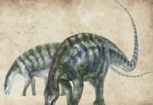 New dinosaur found in the wrong place, at the wrong time Lingwulong shenqi.