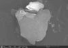 Platinum is key in ancient volcanic related climate change biotite