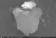 Platinum is key in ancient volcanic related climate change biotite