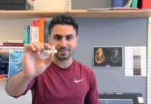 The end-Cretaceous extinction unleashed modern shark diversity This is PhD student Mohamad Bazzi with a fossil lamniform shark tooth
