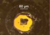 Experiments using Diamond Anvils Yield New Insight into the Deep Earth The diamond anvil in which samples of magnesiowüstite