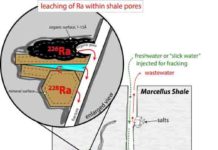 How slick water and black shale in fracking combine to produce radioactive waste Radium from within rock leaches from clay minerals that transfer highly radioactive radium-228 and an organic phase that serves as the source of radium-226.