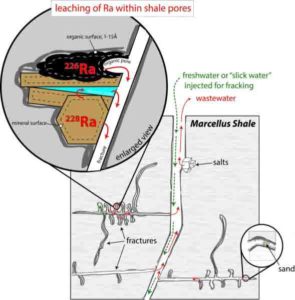 Radium from within rock leaches from clay minerals that transfer highly radioactive radium-228 and an organic phase that serves as the source of radium-226.