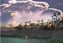 Oldest known aquatic reptiles probably spent time on land Mesosaurus