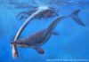 The songs of fin whales offer new avenue for seismic studies of the oceanic crust mosasaurs