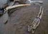 Dig at Italy’s Pompeii volcanic site yields 5 skeletons The remains of skeletons that were found in the Pompeii archaeological site, Italy, Wednesday, Oct. 24, 2018. The Italian news agency ANSA says new excavations in the ancient buried city of Pompeii have yielded the undisturbed skeletons of people who had taken refuge from the eruption of Mount Vesuvius in A.D.79. The director of the Pompeii archaeological site, Massimo Osanna, told ANSA on Wednesday the skeletons, believed to be two women and three children, were still intact, having been left undisturbed despite looting at the site centuries ago.