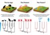 Mammals cannot evolve fast enough to escape current extinction crisis An illustration of how the smaller mammals will have to evolve and diversify over the next 3-5 million years to make up for the loss of the large mammals.