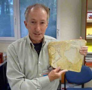 Dr. John Nudds with Archaeopteryx fossil specimen at the European Synchrotron in Grenoble.