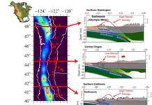 Relationship between tremors, water at the Cascadia margin Rice University scientists studied how the density of microseismicity, or small tremors, related to the seismic structure of the Pacific Northwest in the United States. Red lines in the graphic at left correspond to cross-sections from northern Washington (top), central Oregon (middle), and northern California (bottom).