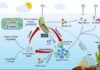 Scientists propose that vibrios have significant roles in marine organic carbon cycle T, temperature; S, salinity; P, phosphate; N, nitrogen salt; Si, silicate; E, extracellular enzyme; POC, particulate organic carbon; DOC, dissolved organic carbon. Credit: ©Science China Press